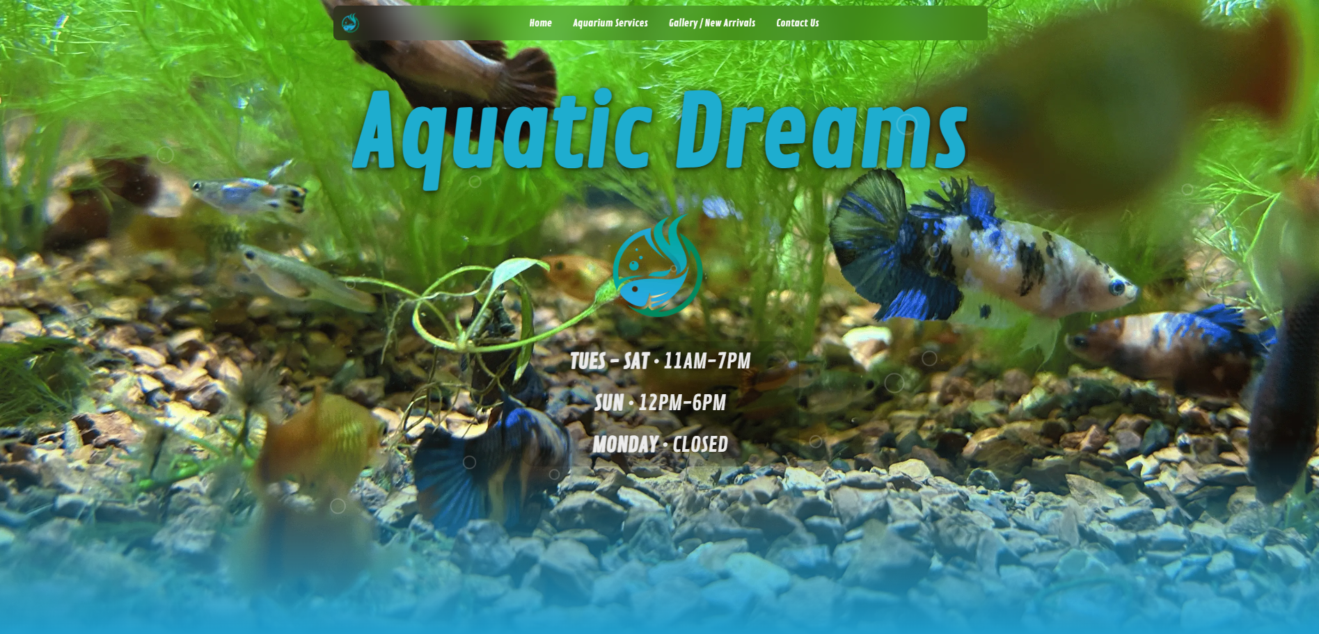 Screenshot of Aquatic Dreams website