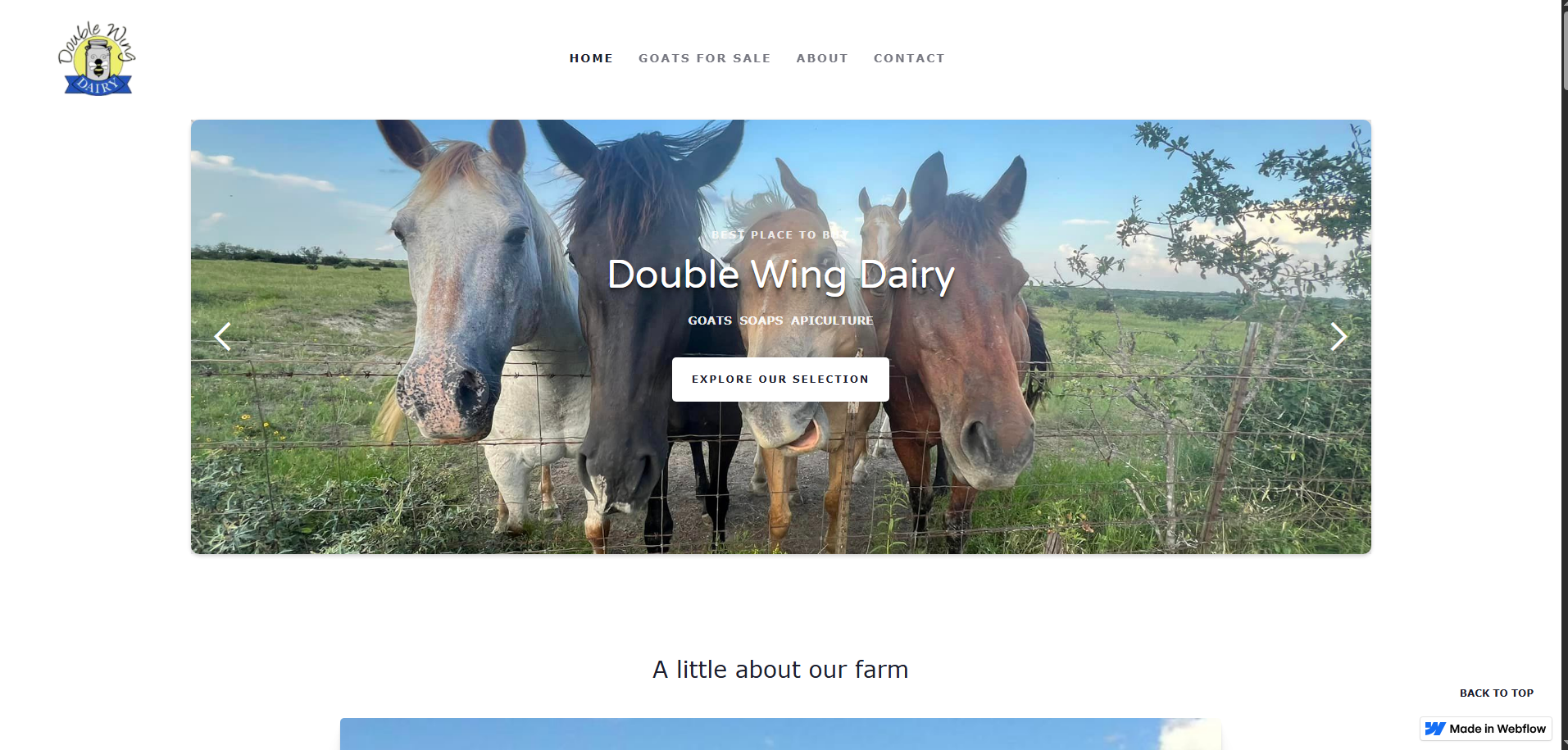 Screenshot of Double Wing Dairy website